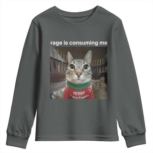 Rage Is Consuming Me Christmas Youth Sweatshirt Funny Silly Staring Cat Meme Xmas Ugly Sweater TS11 Dark Heather Print Your Wear