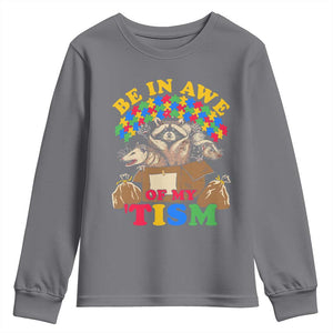 Funny Autism Awareness Youth Sweatshirt Be In Awe Of My 'Tism Autistic Raccoon Opossum Skunk TS11 Charcoal Print Your Wear