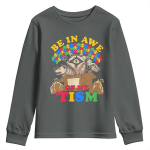Funny Autism Awareness Youth Sweatshirt Be In Awe Of My 'Tism Autistic Raccoon Opossum Skunk TS11 Dark Heather Print Your Wear
