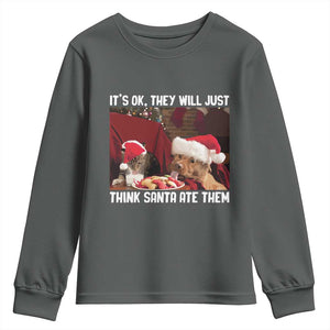 Funny Christmas Dog And Cat Youth Sweatshirt It's Ok They Will Just Think Santa Ate Them TS11 Dark Heather Print Your Wear