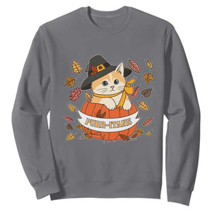 Funny Thanksgiving Cat Lover Sweatshirt Purritans Pilgrim Puritans Hat TS11 Charcoal Print Your Wear