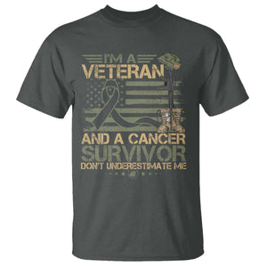 I Am A Veteran And A Cancer Survivor T Shirt - Don't Underestimate Me Vintage Camo American Flag TS11 Dark Heather Print Your Wear