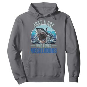 Just A Boy Who Loves Megalodons Hoodie Megalodon Shark Lover Retro Graphic