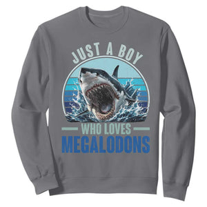 Just A Boy Who Loves Megalodons Sweatshirt Megalodon Shark Lover Retro Graphic