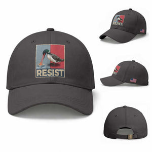 Minnesota Loon Resist Baseball Cap Loon Bird Laser Ice Cube Poster Graphic TS11 Baseball Cap Universal Fit Dark Gray Print Your Wear