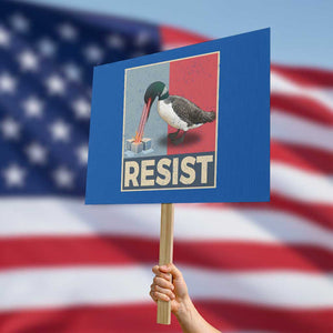 Minnesota Loon Resist Protest Sign Loon Bird Laser Ice Cube Poster Graphic TS11 Horizontal 18" × 24" Blue Print Your Wear