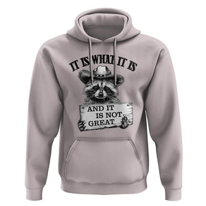 Funny Raccoon Hoodie It Is What It Is And It Is Not Great Text Display Board TS11 Ice Gray Print Your Wear