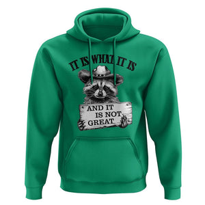Funny Raccoon Hoodie It Is What It Is And It Is Not Great Text Display Board TS11 Irish Green Print Your Wear