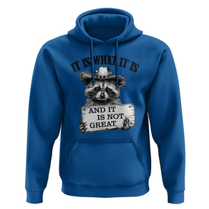 Funny Raccoon Hoodie It Is What It Is And It Is Not Great Text Display Board TS11 Royal Blue Print Your Wear