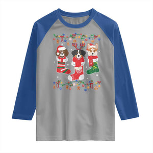 Funny Christmas Dog Owner Raglan Shirt Socks Xmas Holiday TS11 Sport Gray Royal Print Your Wear