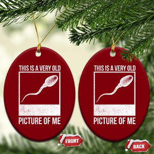 Funny This Is A Very Old Picture Of Me Ceramic Ornament Adult Humor Gag Gift TS11 Print Your Wear
