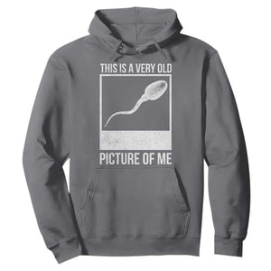 Funny This Is A Very Old Picture Of Me Hoodie Adult Humor Gag Gift TS11 Charcoal Print Your Wear
