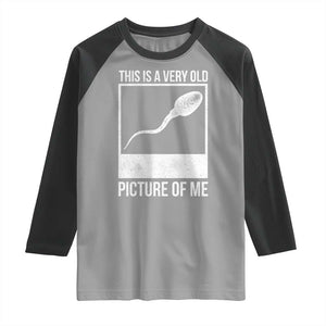 Funny This Is A Very Old Picture Of Me Raglan Shirt Adult Humor Gag Gift TS11 Sport Gray Black Print Your Wear