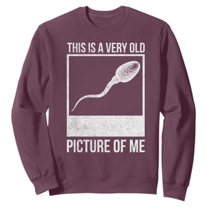Funny This Is A Very Old Picture Of Me Sweatshirt Adult Humor Gag Gift TS11 Maroon Print Your Wear