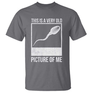 Funny This Is A Very Old Picture Of Me T Shirt Adult Humor Gag Gift TS11 Charcoal Print Your Wear