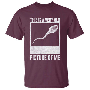 Funny This Is A Very Old Picture Of Me T Shirt Adult Humor Gag Gift TS11 Maroon Print Your Wear