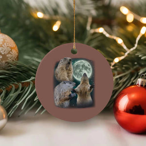 Funny Three Groundhog Moon Groundhog Day Meme Ceramic Ornament TS11 1pc Mocha Print Your Wear