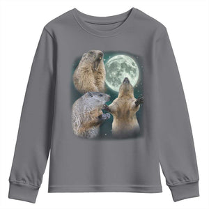 Funny Three Groundhog Moon Groundhog Day Meme Youth Sweatshirt TS11 Charcoal Print Your Wear