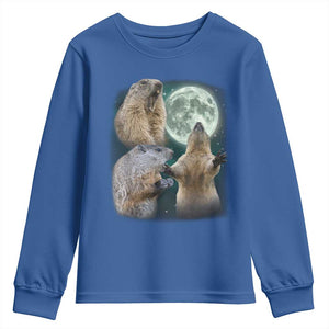 Funny Three Groundhog Moon Groundhog Day Meme Youth Sweatshirt TS11 Royal Blue Print Your Wear