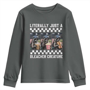 Baseball Raccoon Literally Just a Bleacher Creature Youth Sweatshirt Funny Trash Panda At Ballfield TS11 Dark Heather Print Your Wear