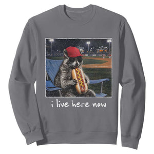 Baseball Raccoon I Live Here Now Sweatshirt Funny Trash Panda Eating Hot Dog Ballfield TS11 Charcoal Print Your Wear
