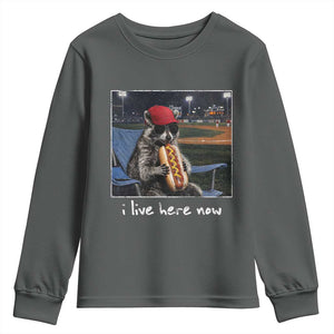Baseball Raccoon I Live Here Now Youth Sweatshirt Funny Trash Panda Eating Hot Dog Ballfield TS11 Dark Heather Print Your Wear