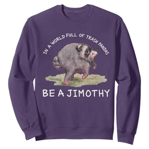 Watercolor Jimothy the Raccoon Sweatshirt In A World Full Of Trash Pandas Be A Jimothy