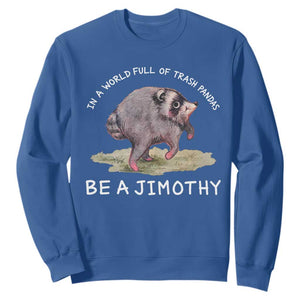 Watercolor Jimothy the Raccoon Sweatshirt In A World Full Of Trash Pandas Be A Jimothy