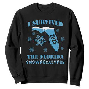 Funny I Survived The Florida Snowpocalypse 2025 Sweatshirt Snowflakes TS11 Black Print Your Wear