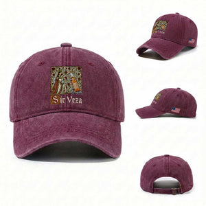 Sir Veza Beer Medieval Knight Pun Sombrero Cinco De Mayo Washed Cotton Baseball Cap