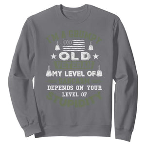 I Am A Grumpy Old Veteran My Level Of Sarcasm Depends On Your Level Of Stupidity Sweatshirt TS11 Charcoal Print Your Wear