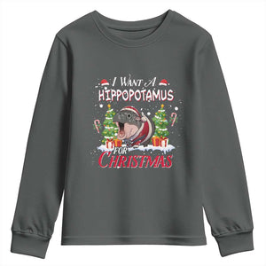 Funny Moo Deng Christmas Youth Sweatshirt I Want A Hippopotamus For Christmas Santa Baby Pygmy TS11 Dark Heather Print Your Wear