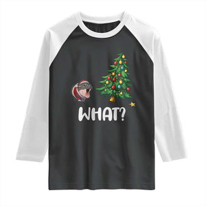 Funny Moo Deng Christmas Raglan Shirt What Santa Cute Hippo Zoo Meme Baby Pygmy Xmas Tree TS11 Black White Print Your Wear