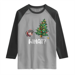 Funny Moo Deng Christmas Raglan Shirt What Santa Cute Hippo Zoo Meme Baby Pygmy Xmas Tree TS11 Sport Gray Black Print Your Wear