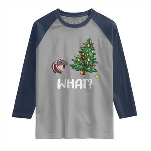 Funny Moo Deng Christmas Raglan Shirt What Santa Cute Hippo Zoo Meme Baby Pygmy Xmas Tree TS11 Sport Gray Navy Print Your Wear