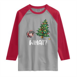 Funny Moo Deng Christmas Raglan Shirt What Santa Cute Hippo Zoo Meme Baby Pygmy Xmas Tree TS11 Sport Gray Red Print Your Wear