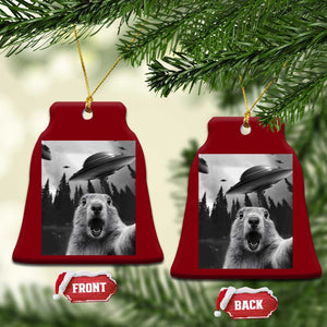 Funny Groundhog Selfie With Alien UFOs Weird Ground Hog Day Ceramic Ornament TS11 Print Your Wear