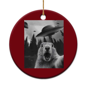Funny Groundhog Selfie With Alien UFOs Weird Ground Hog Day Ceramic Ornament TS11 1pc Red Print Your Wear