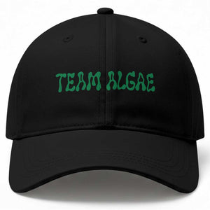 Team Algae Baseball Cap Political Satire Lincoln Reflecting Pool Midterm