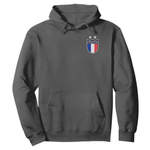 Vintage France Football Crest Two Stars French Flag Hoodie