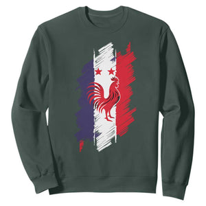 France Gallic Rooster Football Two Stars Brushstroke French Flag Graphic Sweatshirt