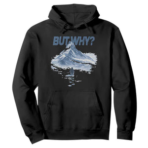Penguin But Why Hoodie Funny Penguin Snowy Mountain Meme TS11 Black Print Your Wear
