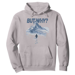 Penguin But Why Hoodie Funny Penguin Snowy Mountain Meme TS11 Ice Gray Print Your Wear