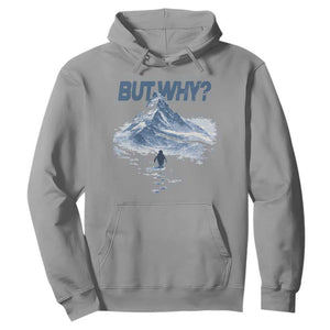 Penguin But Why Hoodie Funny Penguin Snowy Mountain Meme TS11 Sport Gray Print Your Wear