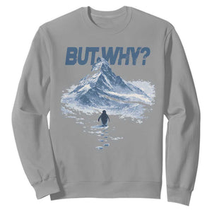Penguin But Why Sweatshirt Funny Penguin Snowy Mountain Meme TS11 Sport Gray Print Your Wear