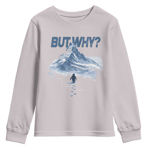 Penguin But Why Youth Sweatshirt Funny Penguin Snowy Mountain Meme TS11 Ice Gray Print Your Wear