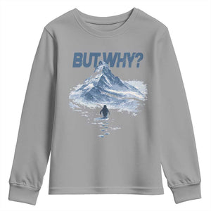 Penguin But Why Youth Sweatshirt Funny Penguin Snowy Mountain Meme TS11 Sport Gray Print Your Wear