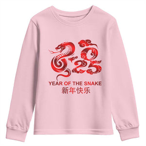 Year Of The Snake Lunar Chinese New Year 2025 Youth Sweatshirt TS11 Light Pink Print Your Wear