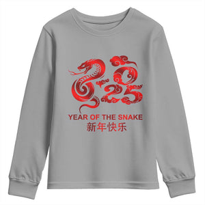 Year Of The Snake Lunar Chinese New Year 2025 Youth Sweatshirt TS11 Sport Gray Print Your Wear