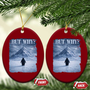 Nihilist Penguin But Why Ceramic Ornament Snow Mountains Motivational Penguin Meme TS11 Print Your Wear